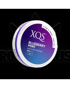 XQS Blueberry Mint 4mg