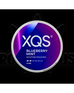 XQS Blueberry Mint 4mg