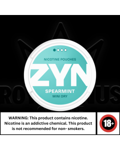 ZYN Spearmint Mini Dry